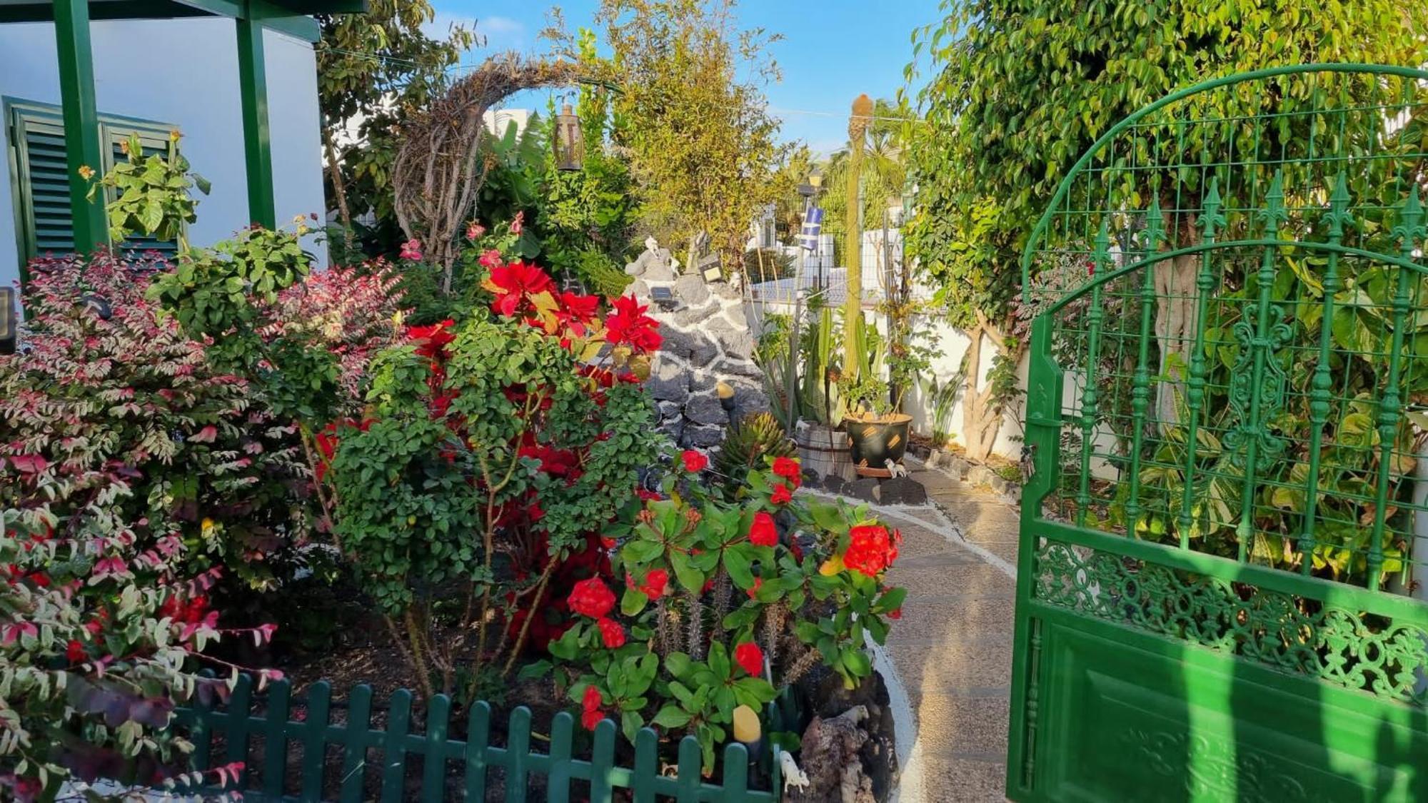 Apartamento Bungalows Isabel Maria Playa Blanca  Eksteriør bilde
